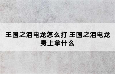 王国之泪电龙怎么打 王国之泪电龙身上拿什么